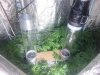 20130821_080154.jpg 20130821_080154.jpg