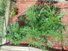 20130905_124847.jpg