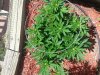 20130905_124903.jpg
