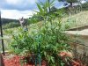 20130905_124917.jpg