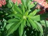 20130905_125002.jpg