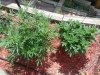 20130905_125015.jpg