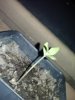 0905132041e.jpg