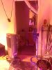 IMG_3543.jpg IMG_3543.jpg