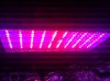 20130907_171432.jpeg 20130907_171432.jpeg
