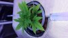 20130907_163152.jpg