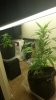 20130804_092329_resized.jpeg