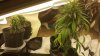 20130902_161053_resized.jpg