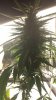 20130902_191714_resized.jpg