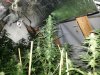 20130908_185947.jpg 20130908_185947.jpg