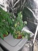 20130908_184852.jpg