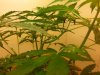 20130910_100047.jpg