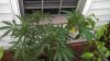 IMG_20130910_185001_519.jpg