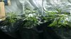 IMAG0782_zps6541a85b.jpg