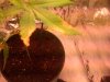 IMG-20130910-00142.jpg