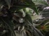 DSCF5571.JPG