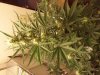 20130911_213835.jpg