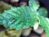 20130912020541.jpg