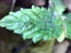 20130912021554.jpg