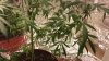 20130912_095554.jpg