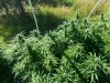 20130910_114331.jpg 20130910_114331.jpg