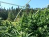 20130910_114401.jpg 20130910_114401.jpg