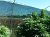 20130910_114457.jpg 20130910_114457.jpg