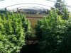 20130910_114449.jpg 20130910_114449.jpg