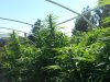 20130910_114528.jpg