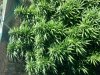 20130910_114544.jpg