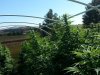 20130910_114534.jpg 20130910_114534.jpg
