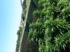 20130910_114547.jpg