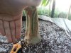 20130910_185314.jpg 20130910_185314.jpg