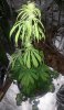 20130913_183134#1.jpg 20130913_183134#1.jpg