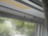 DSCN0453.jpg