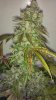 2013-09-13_12-34-21_747_cleaned.jpg