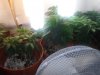 DSC06316.jpg
