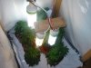 DSC06572.jpg