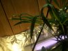 100_0771.jpg