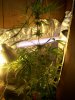 100_0772.jpg