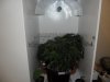 grow 292.jpg