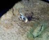 20130914_133607.jpg