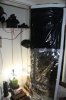 IMG_5407.jpg IMG_5407.jpg