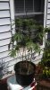 IMG_20130916_131419_847.jpg