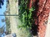 20130908_093252.jpg