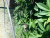 20130908_093646.jpg