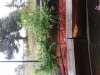 20130911_155607.jpg