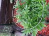 20130911_155632.jpg