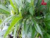 20130913_094201.jpg