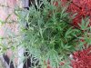 20130913_094259.jpg